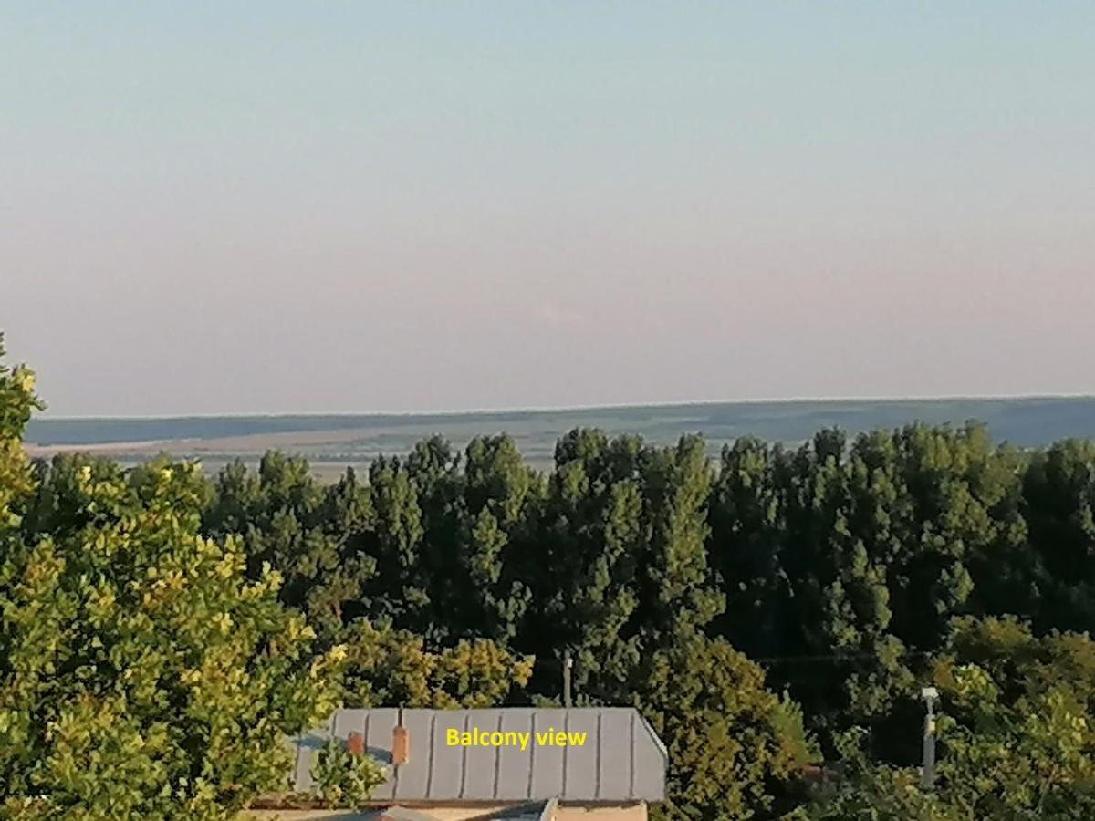 Apartament Cu 2 Dormitoare - Madalina Corabia Dış mekan fotoğraf